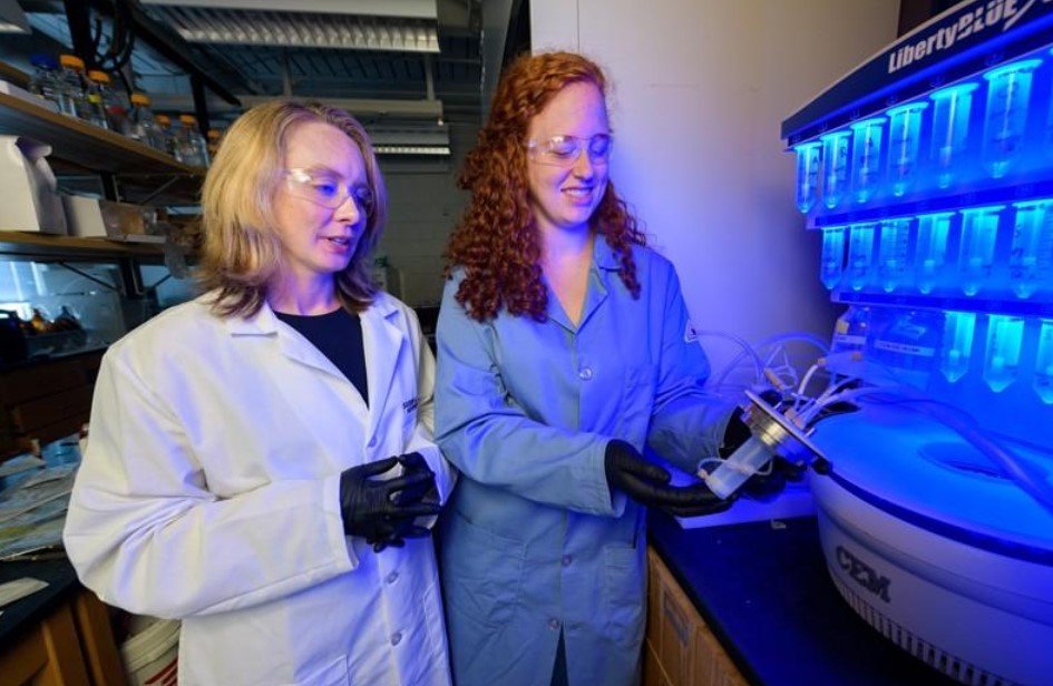 Scientist working with peptide research equipment